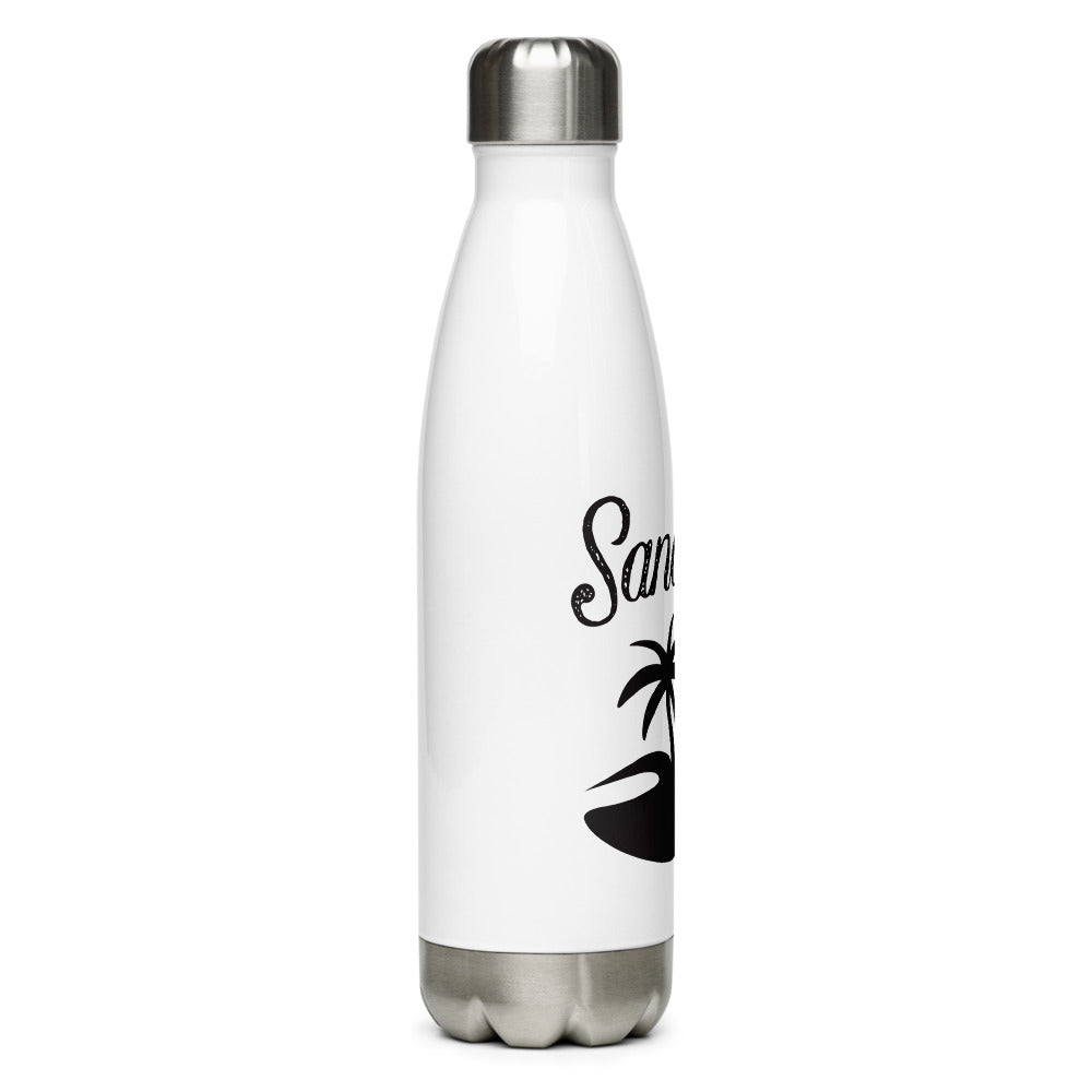 Stainless Steel Water Bottle